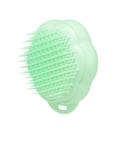 PET TEEZER CAT grooming brush 1 u