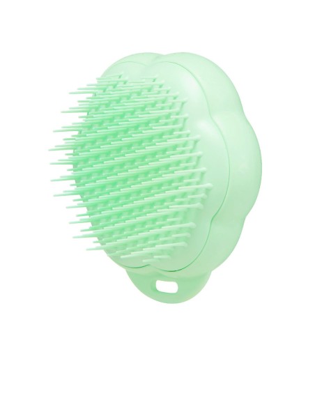 PET TEEZER CAT grooming brush 1 u